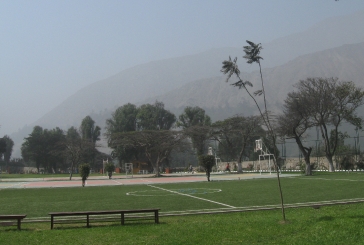 Cancha de Grass de Fútbol_2